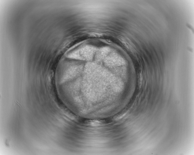 X0000093260229200710241339