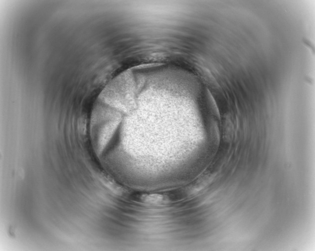 X0000093260230200710241339