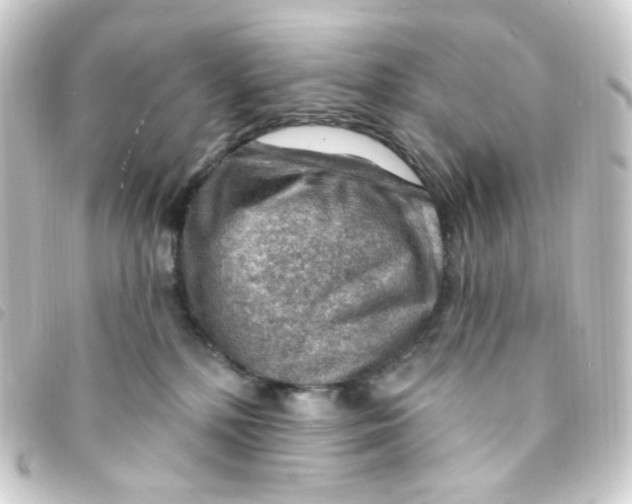 X0000093260232200710241339