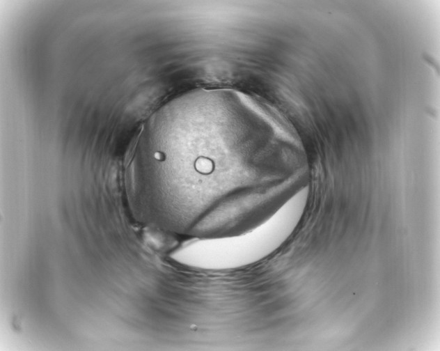 X0000093260233200710241339