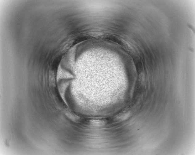 X0000093260234200710241339