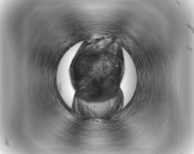 X0000093260235200710241339
