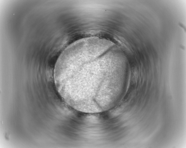 X0000093260236200710241339