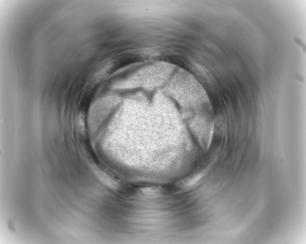 X0000093260238200710241339