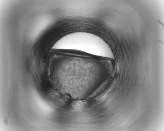 X0000093260239200710241339