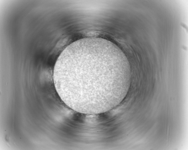 X0000093260240200710241339