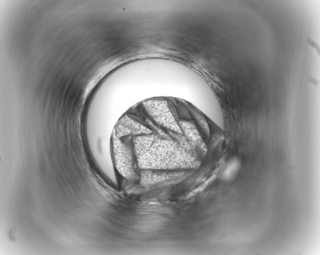 X0000093260244200710241338