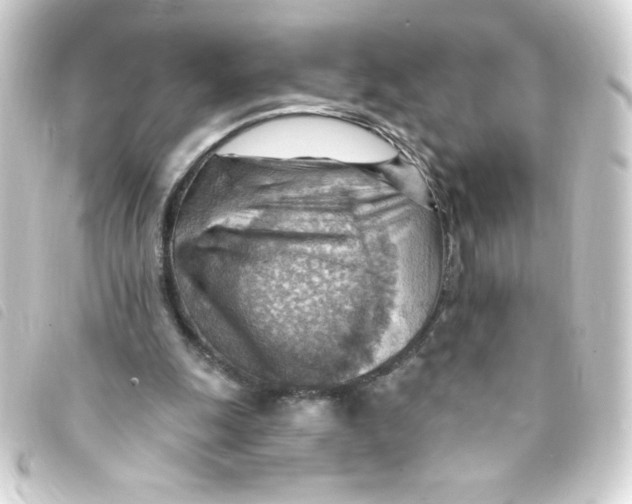 X0000093260247200710241338