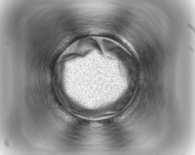 X0000093260257200710241339