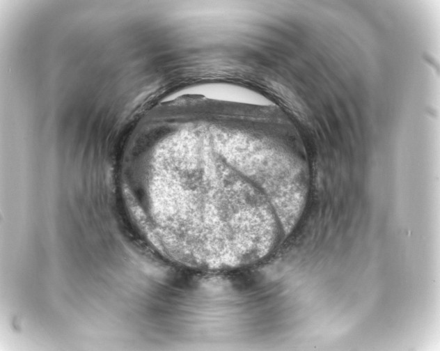 X0000093260258200710241339