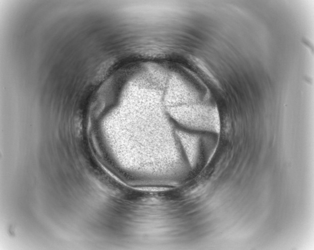 X0000093260259200710241339