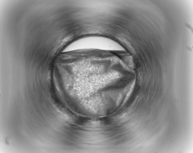 X0000093260260200710241339