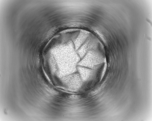 X0000093260261200710241339