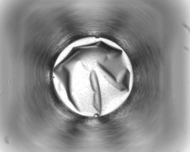 X0000093260262200710241339
