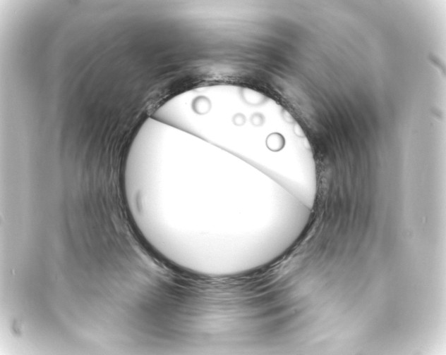 X0000093260265200710241339