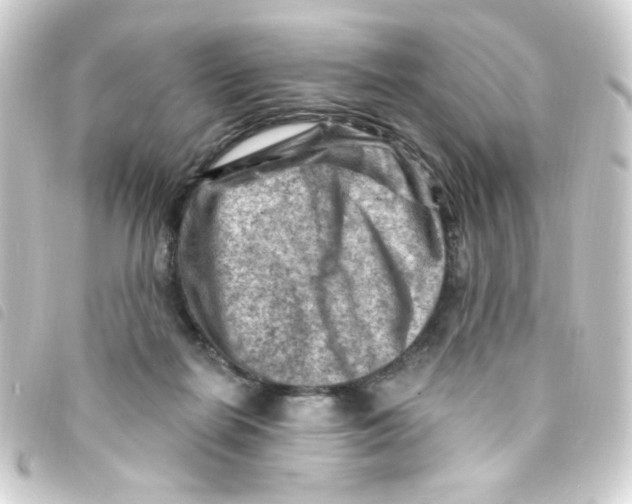 X0000093260266200710241339