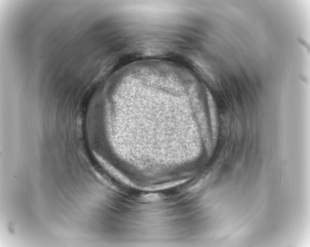 X0000093260269200710241339
