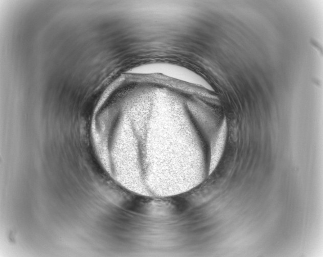 X0000093260270200710241339