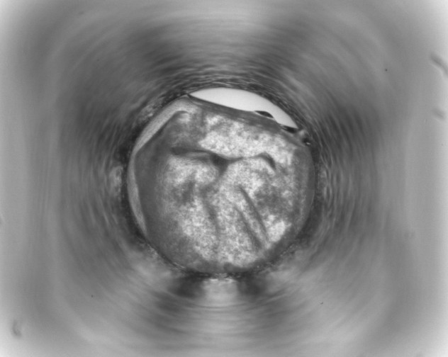 X0000093260271200710241339