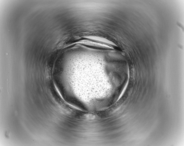 X0000093260272200710241339