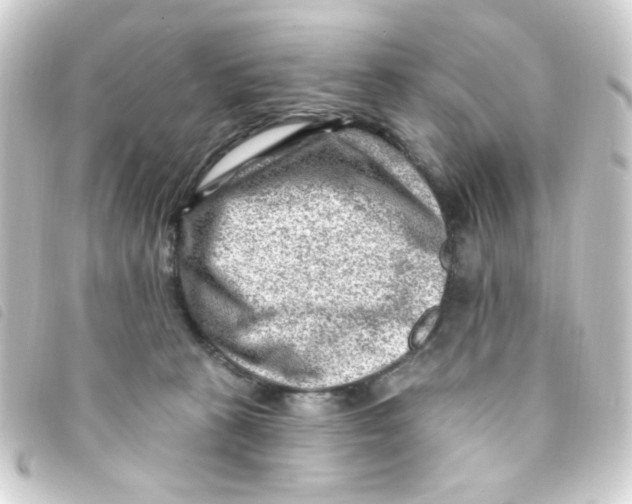 X0000093260273200710241339