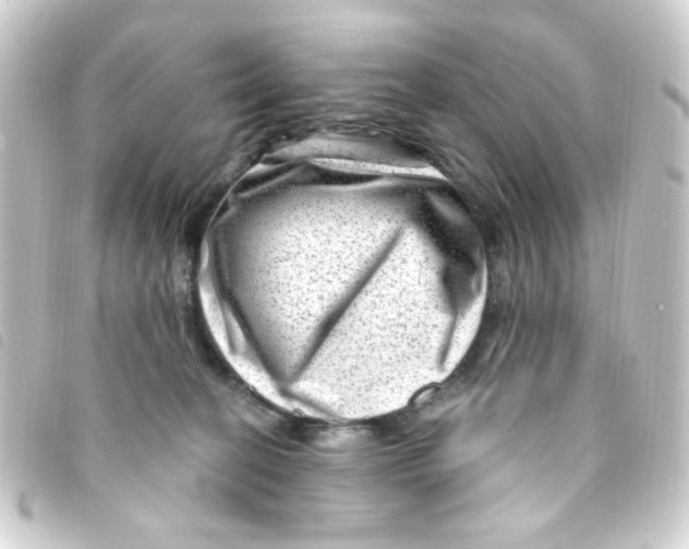 X0000093260274200710241339
