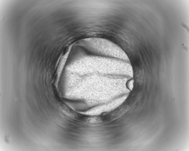 X0000093260275200710241339