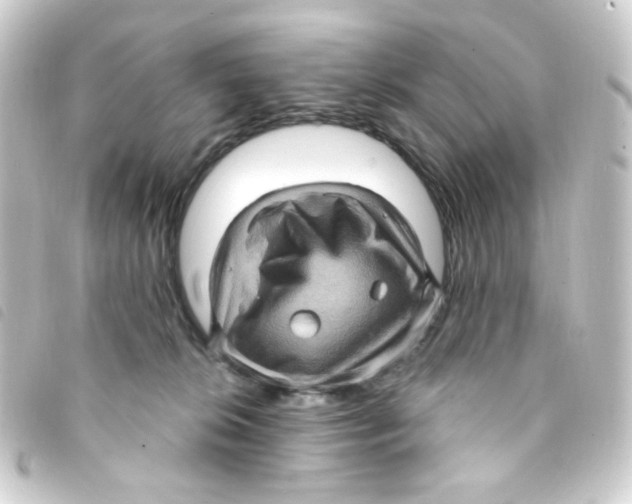X0000093260276200710241339