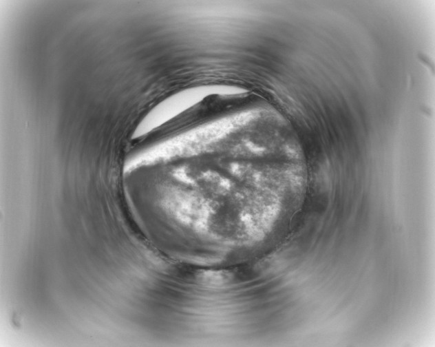 X0000093260277200710241339