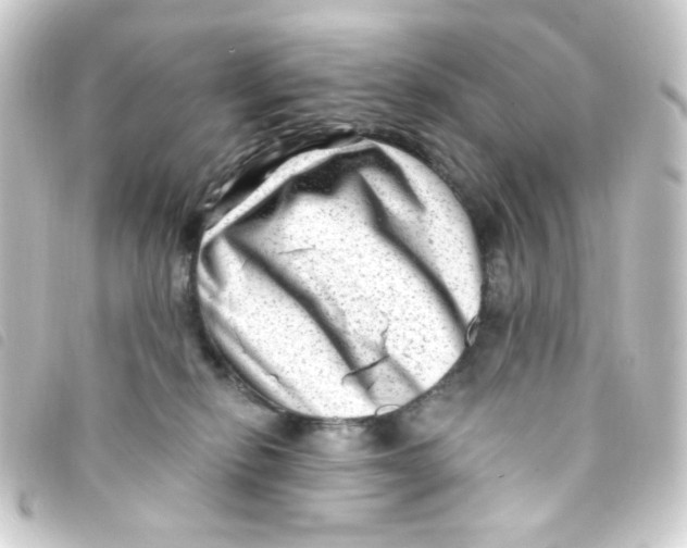 X0000093260278200710241339