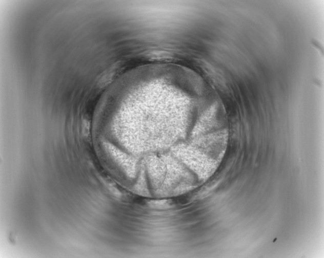 X0000093260281200710241339