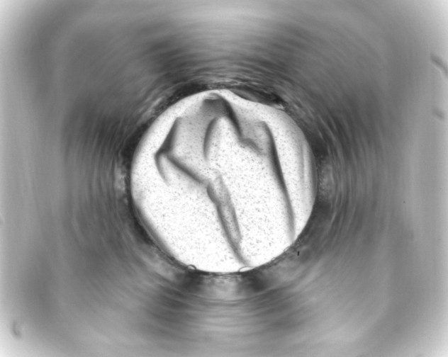 X0000093260282200710241339