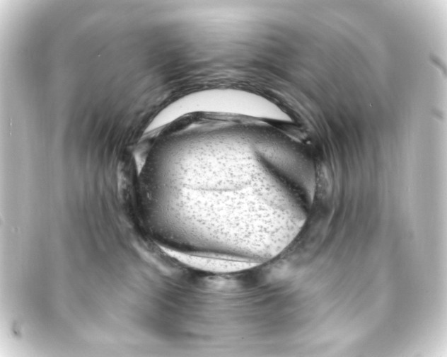 X0000093260284200710241339