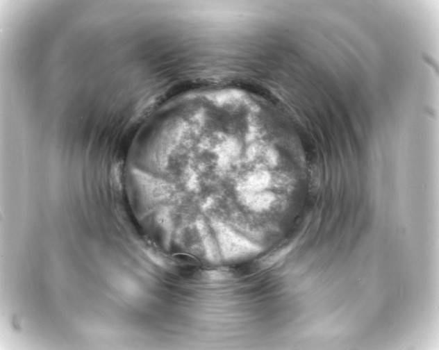 X0000093260286200710241339