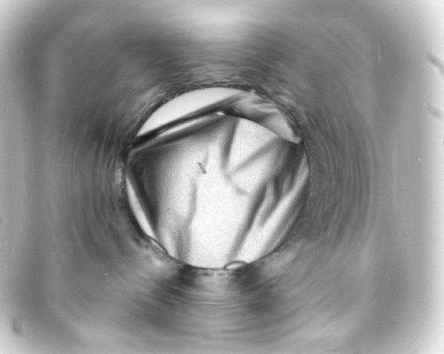X0000093260288200710241339