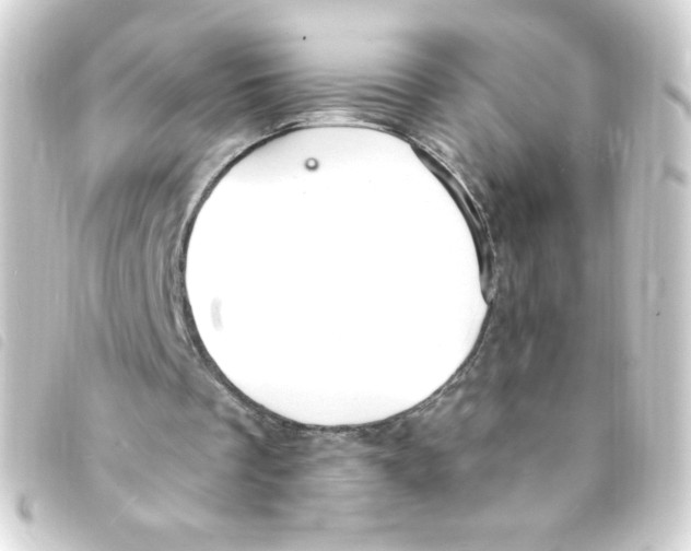 X0000093260289200710241338