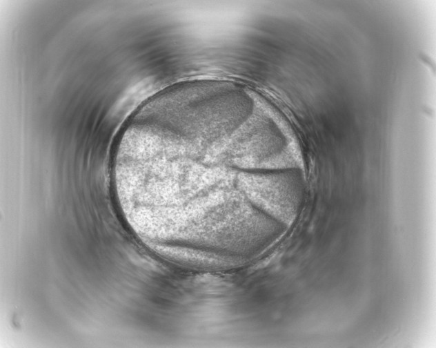 X0000093260290200710241338