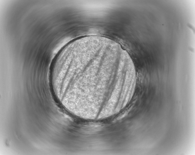 X0000093260292200710241338
