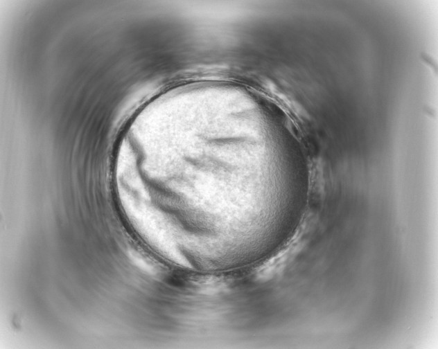 X0000093260293200710241338