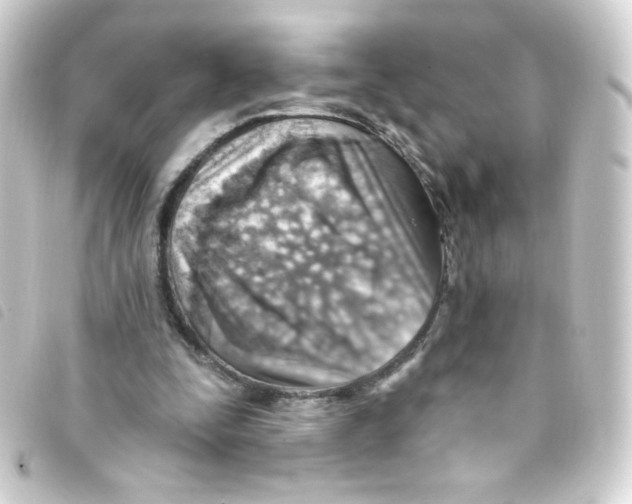 X0000093260295200710241338