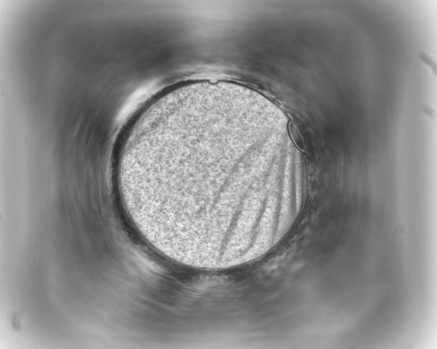 X0000093260296200710241338