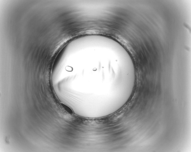 X0000093260297200710241338