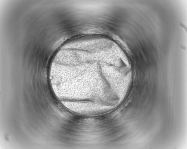 X0000093260298200710241338