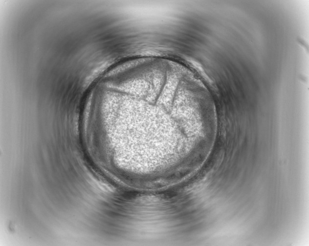 X0000093260299200710241338