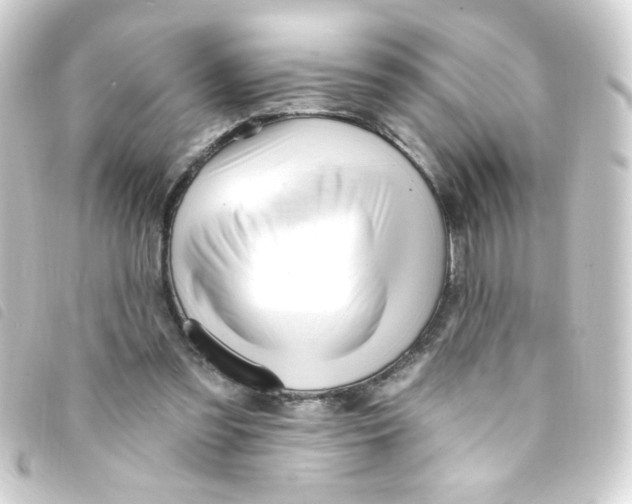 X0000093260301200710241338