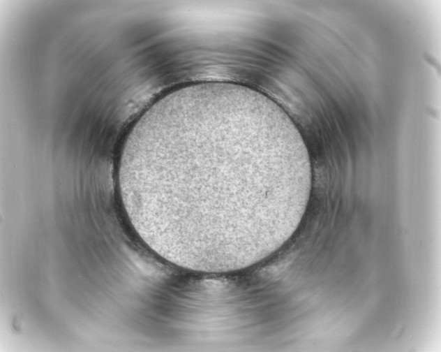X0000093260302200710241338