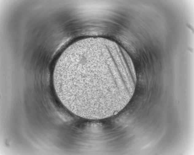 X0000093260304200710241338