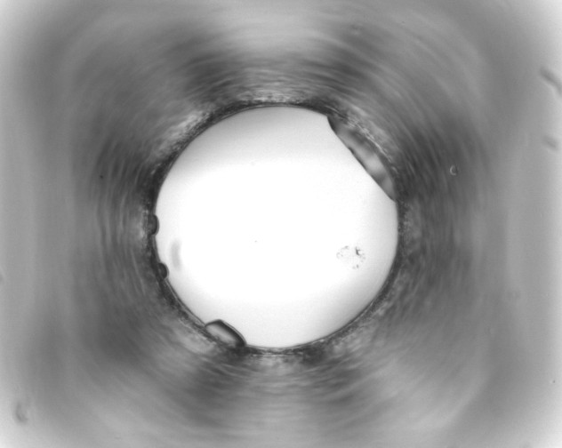 X0000093260305200710241338