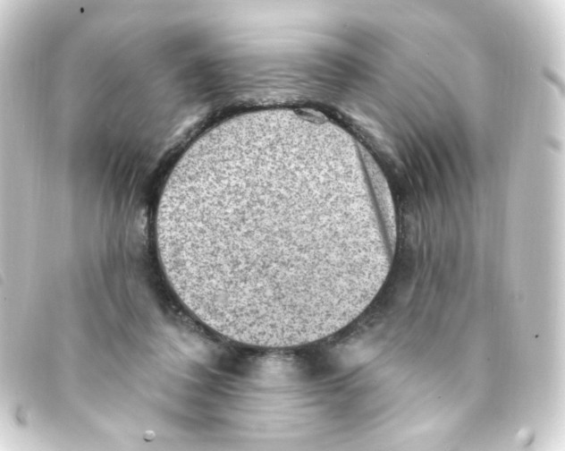 X0000093260308200710241338