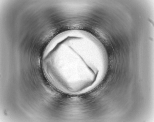 X0000093260310200710241338